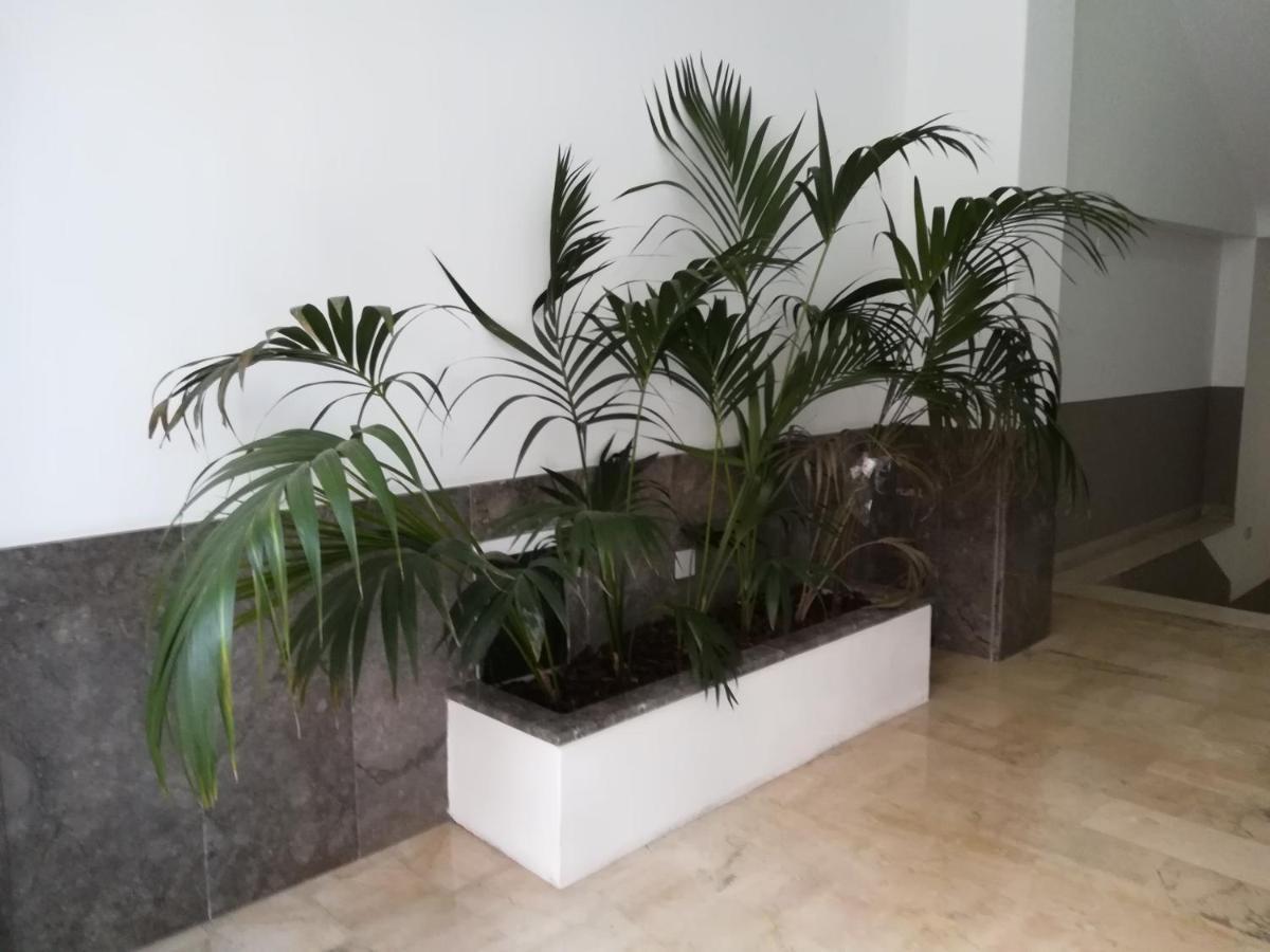 Centro Citta Basement Hotell Palermo Exteriör bild